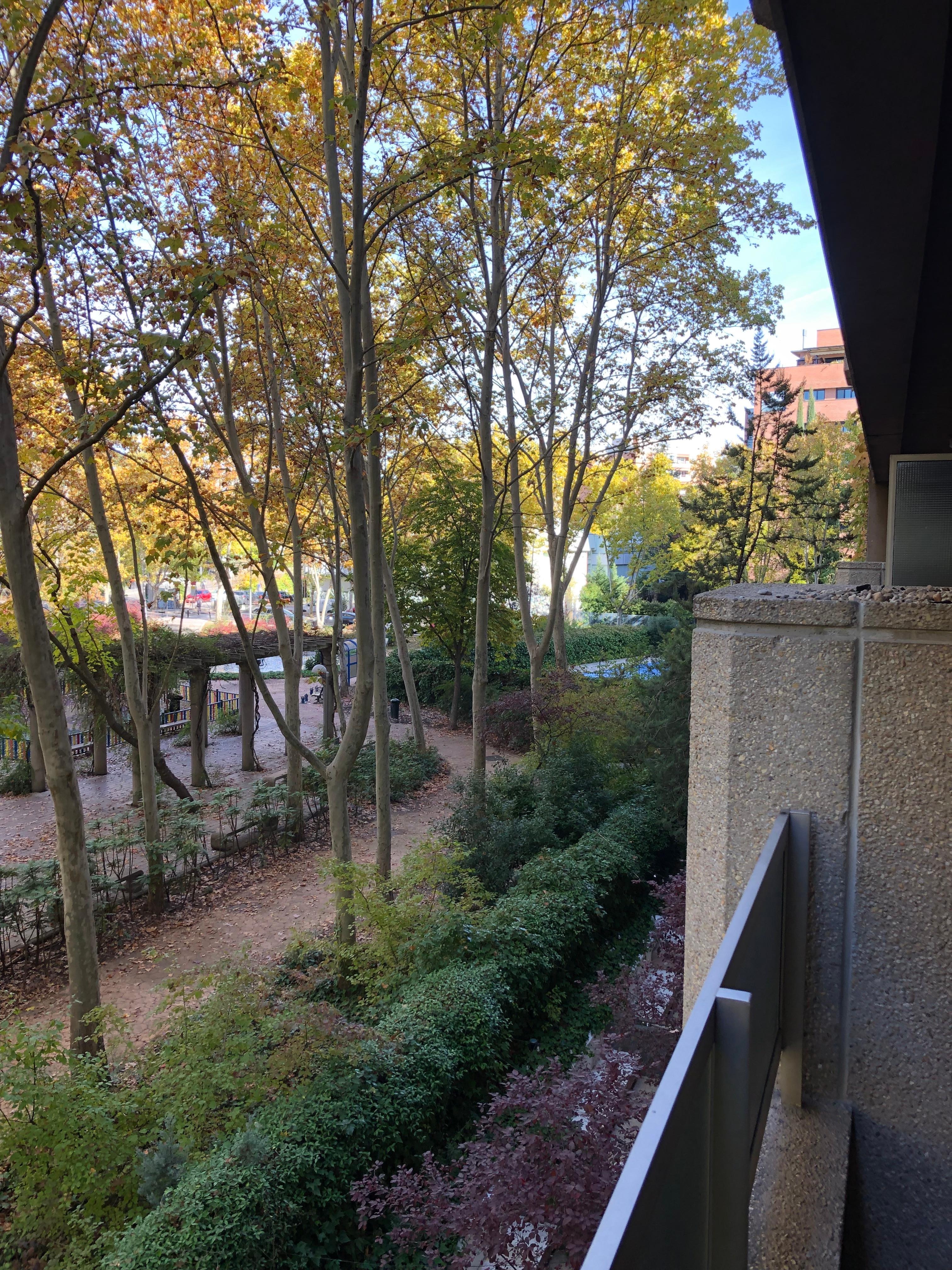 Small but cute balcony. 