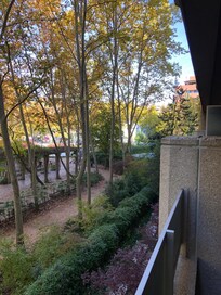 Small but cute balcony.