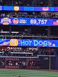Lots of dogs