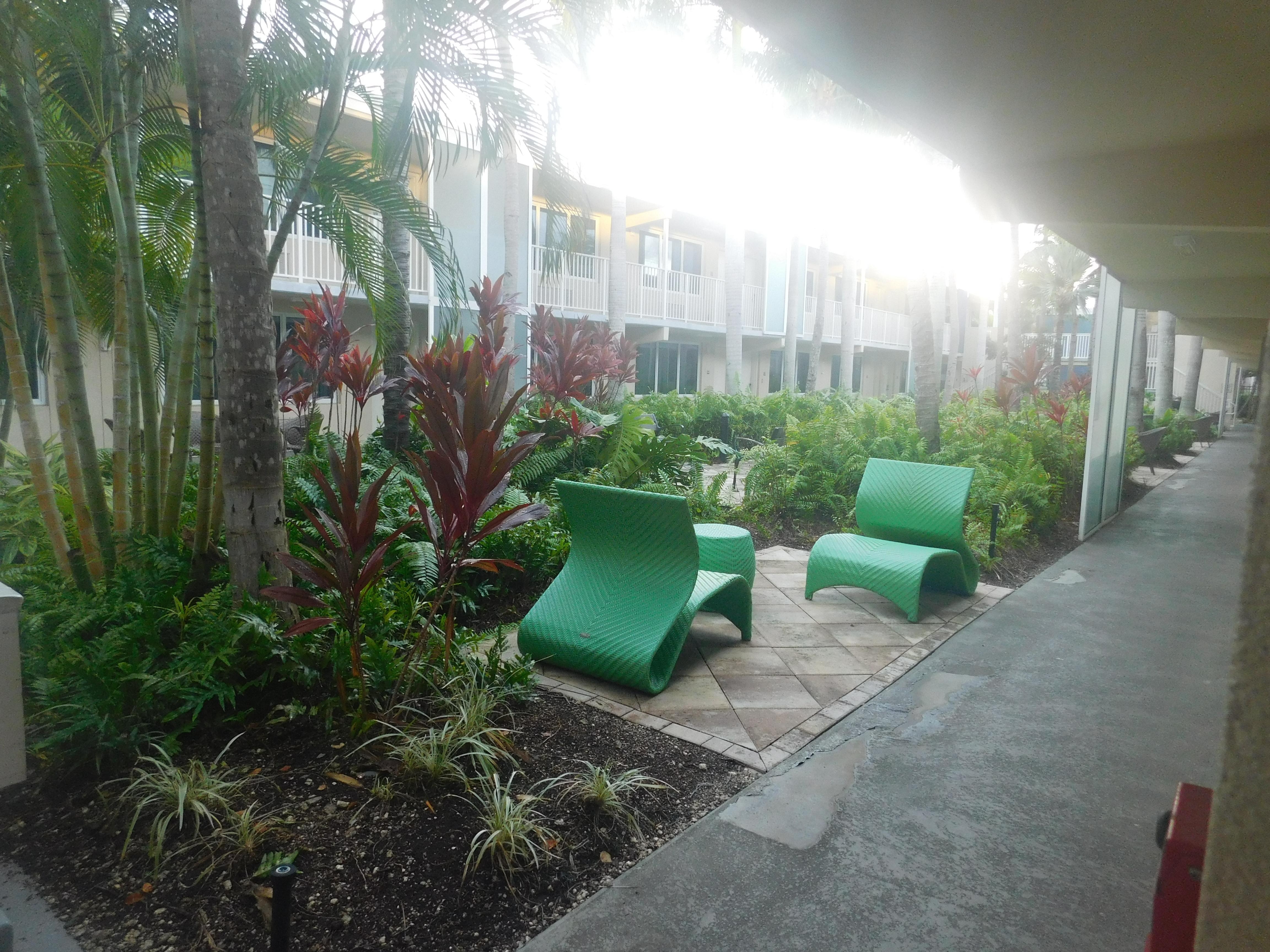 just outside my room a wonderful garden courtyard . a bit foggy at 6:30 am after a touch of needed rain to water the beauty of it all , cleared right up within the hour 