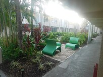 just outside my room a wonderful garden courtyard . a bit foggy at 6:30 am after a touch of needed rain to water the beauty of it all , cleared right up within the hour