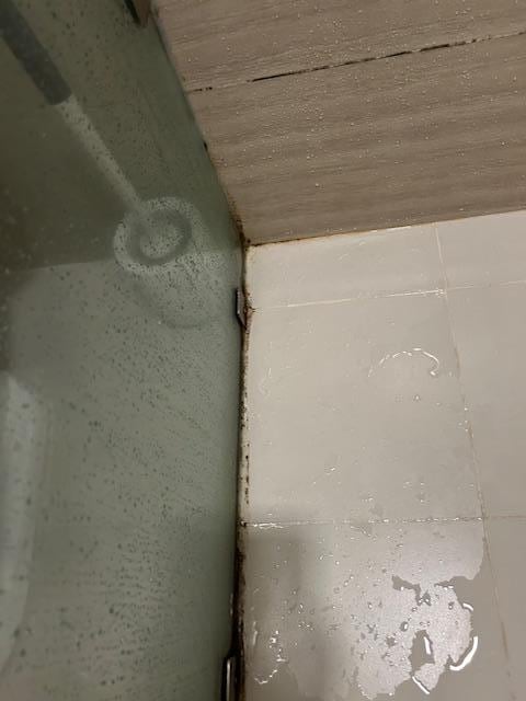 This is the visible scum in the shower area.