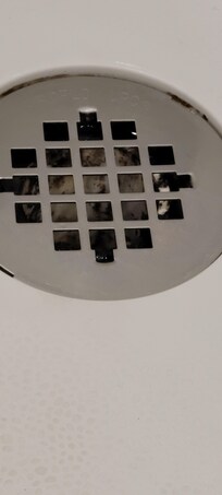 Nasty black gunk in and around shower drain