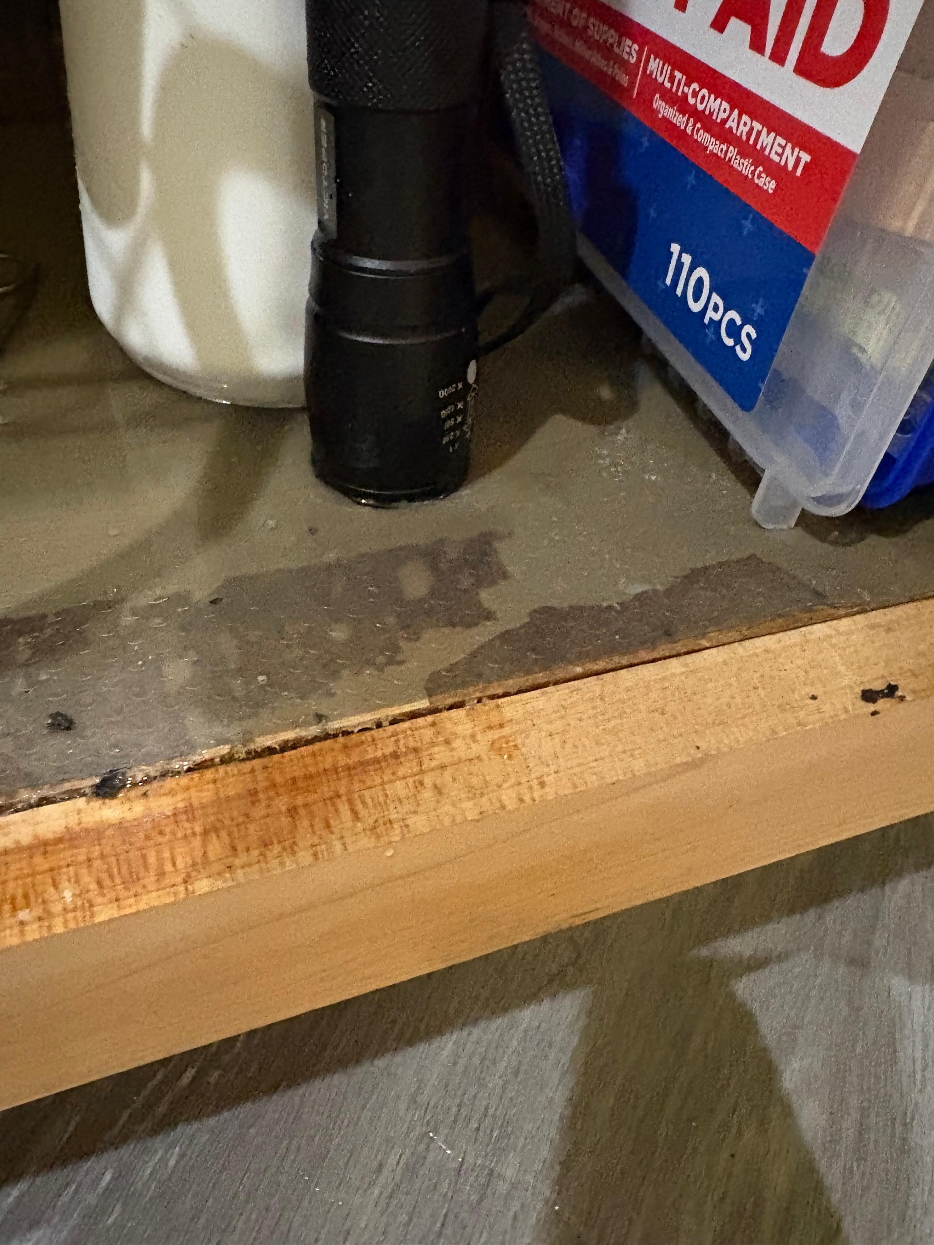 Leak under the kitchen sink 