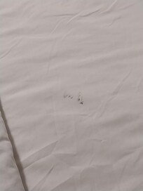 2nd stain or dirt spot on 2nd room bed.