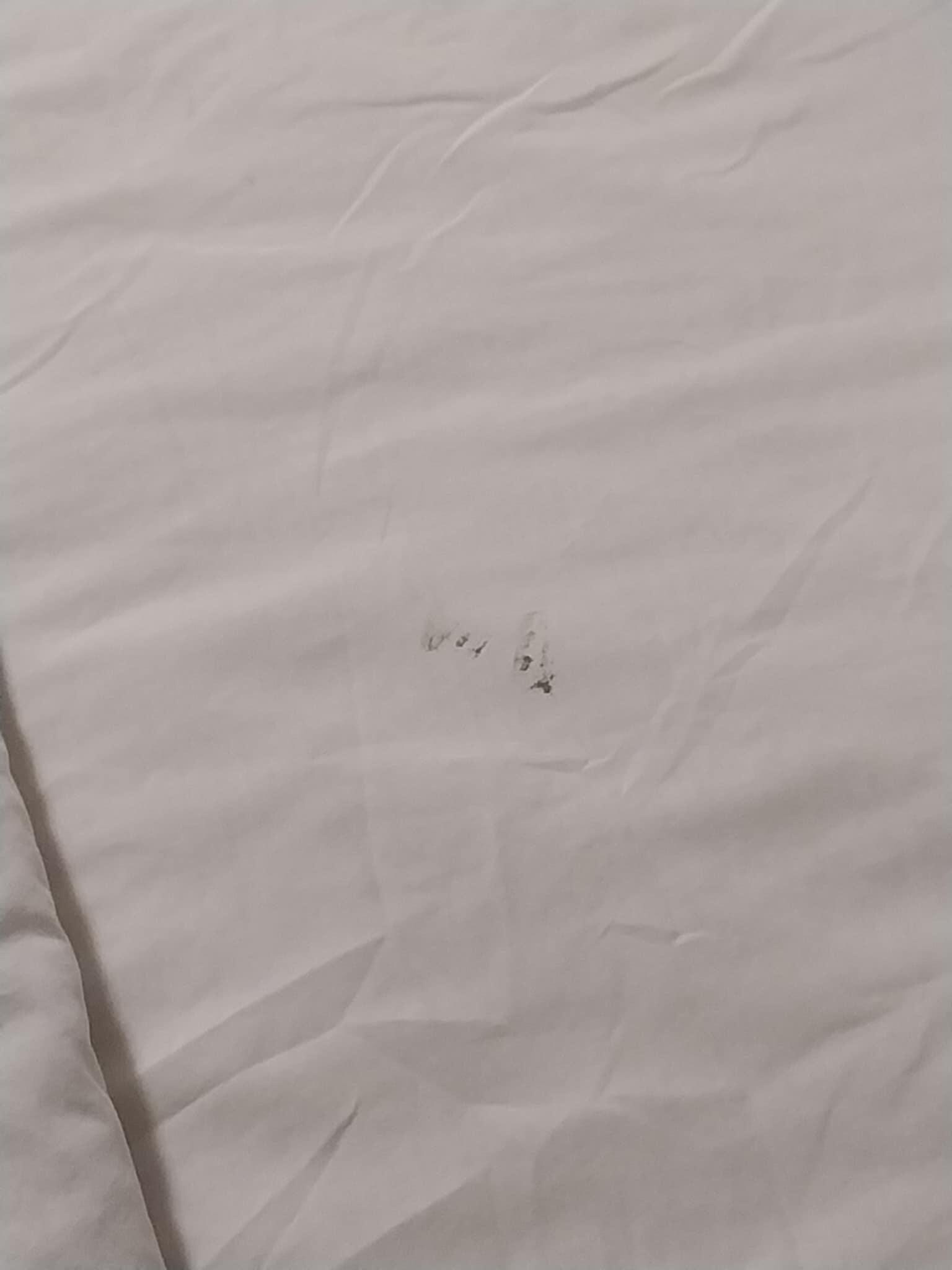 2nd stain or dirt spot on 2nd room bed.