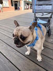 She loved the hotel and boardwalk