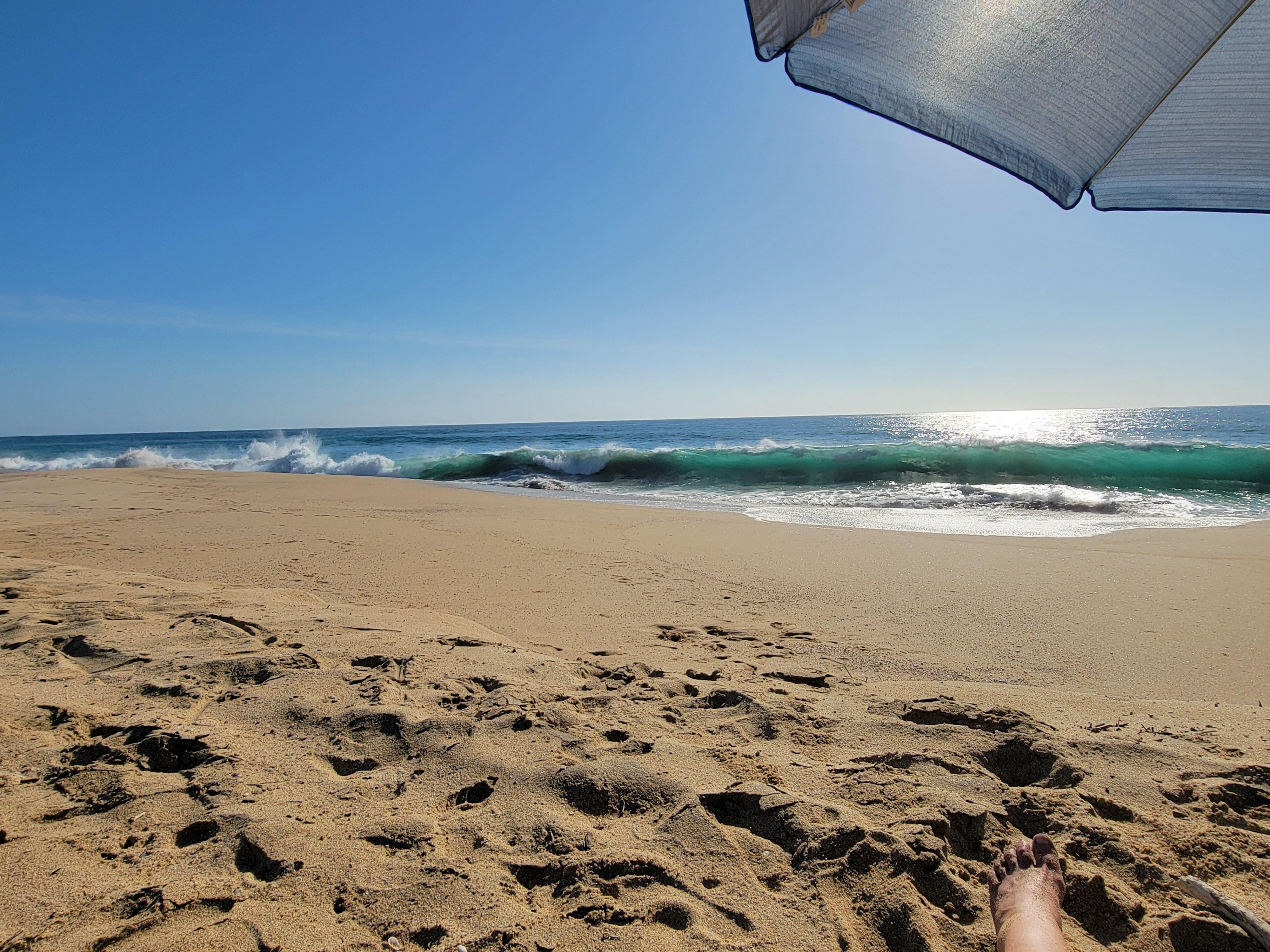 Thanking the universe for my fortune to be sitting here!