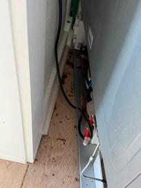 Nest of roaches