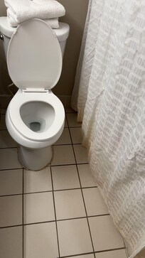 Shower curtain stained
