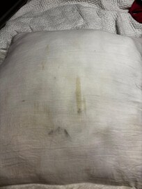 Pillow that was on the bed.