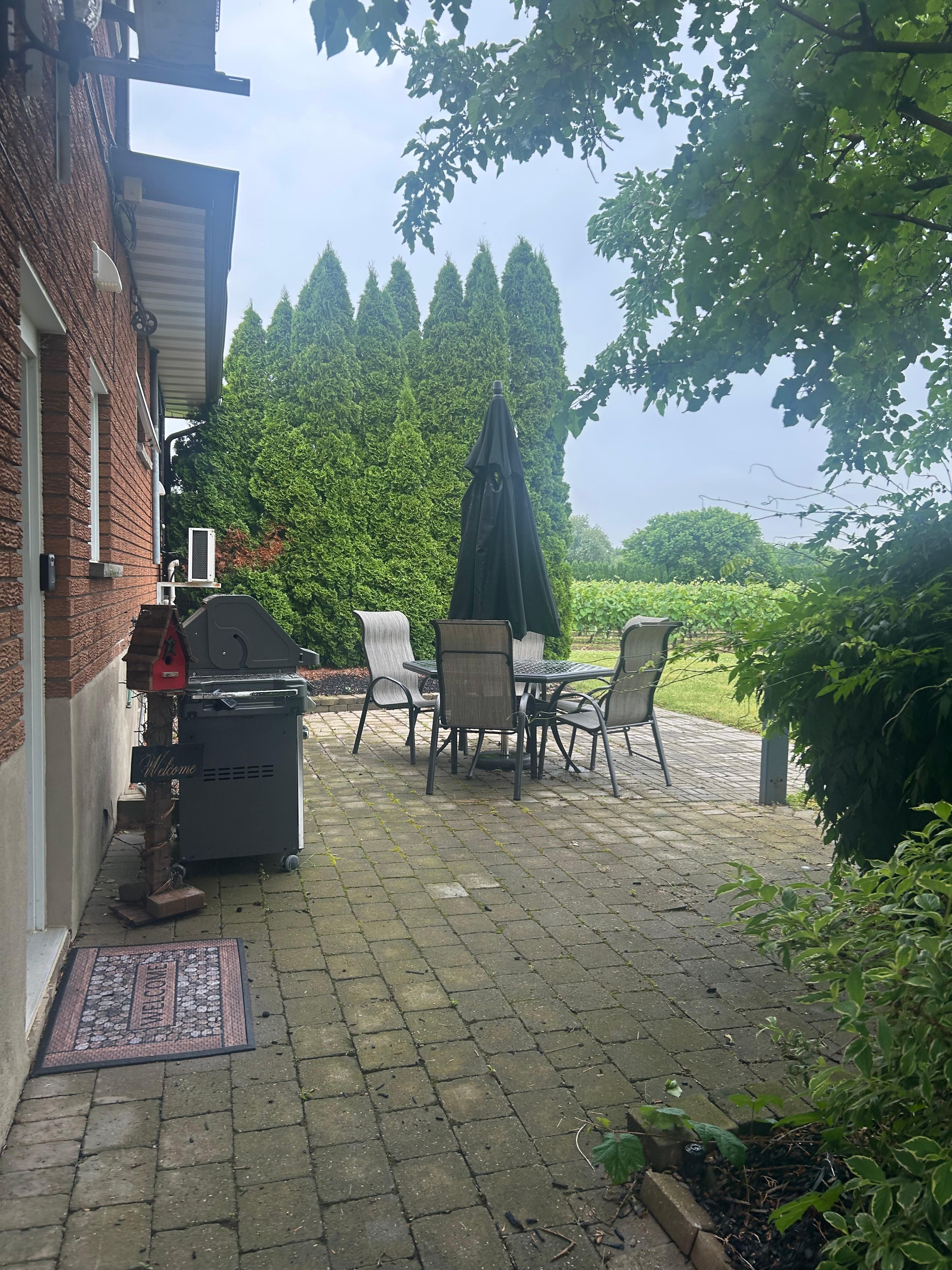 Patio and barbecue