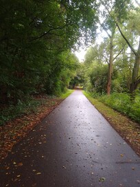 Saaleradweg