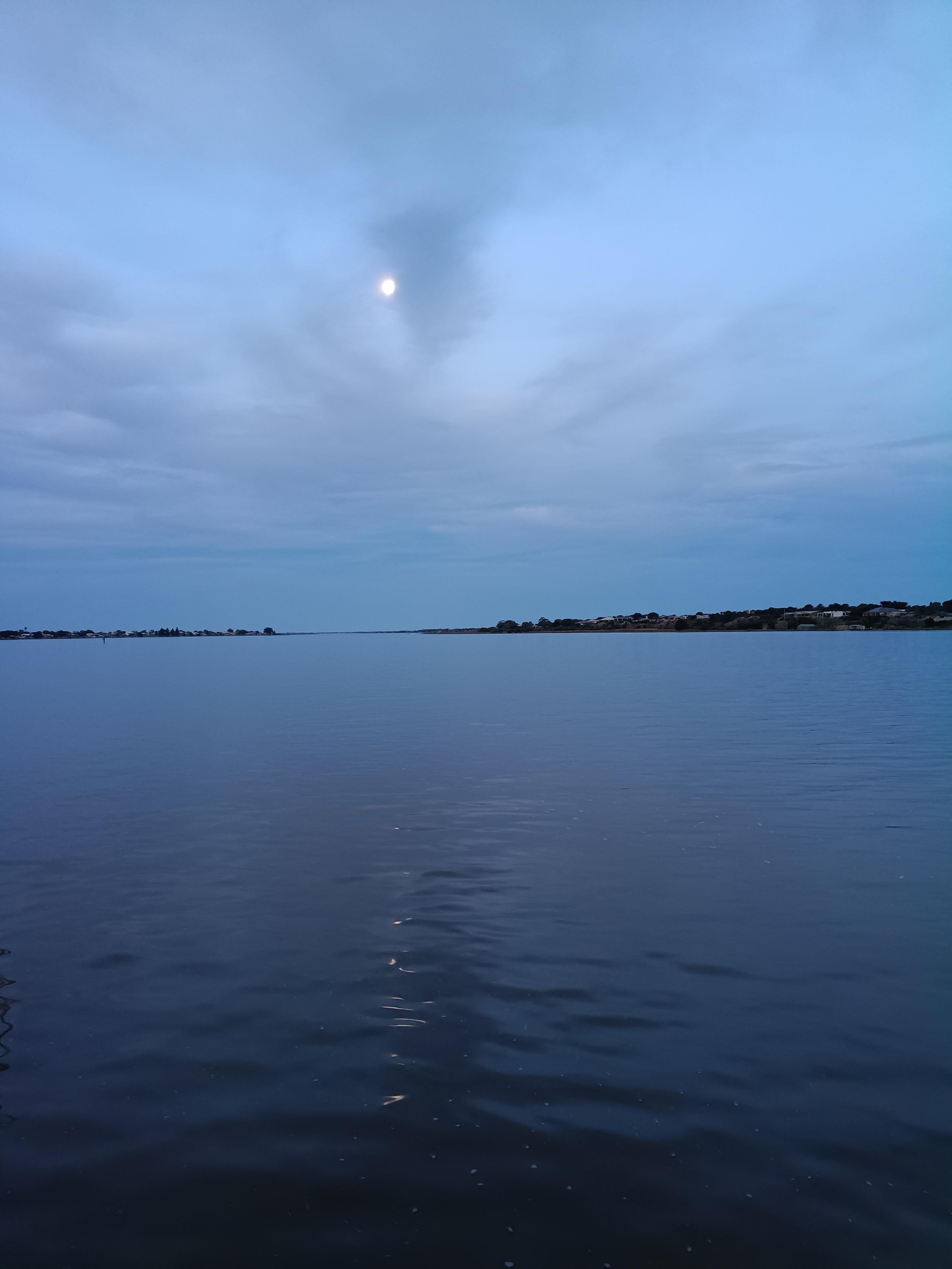 Moonlit night 