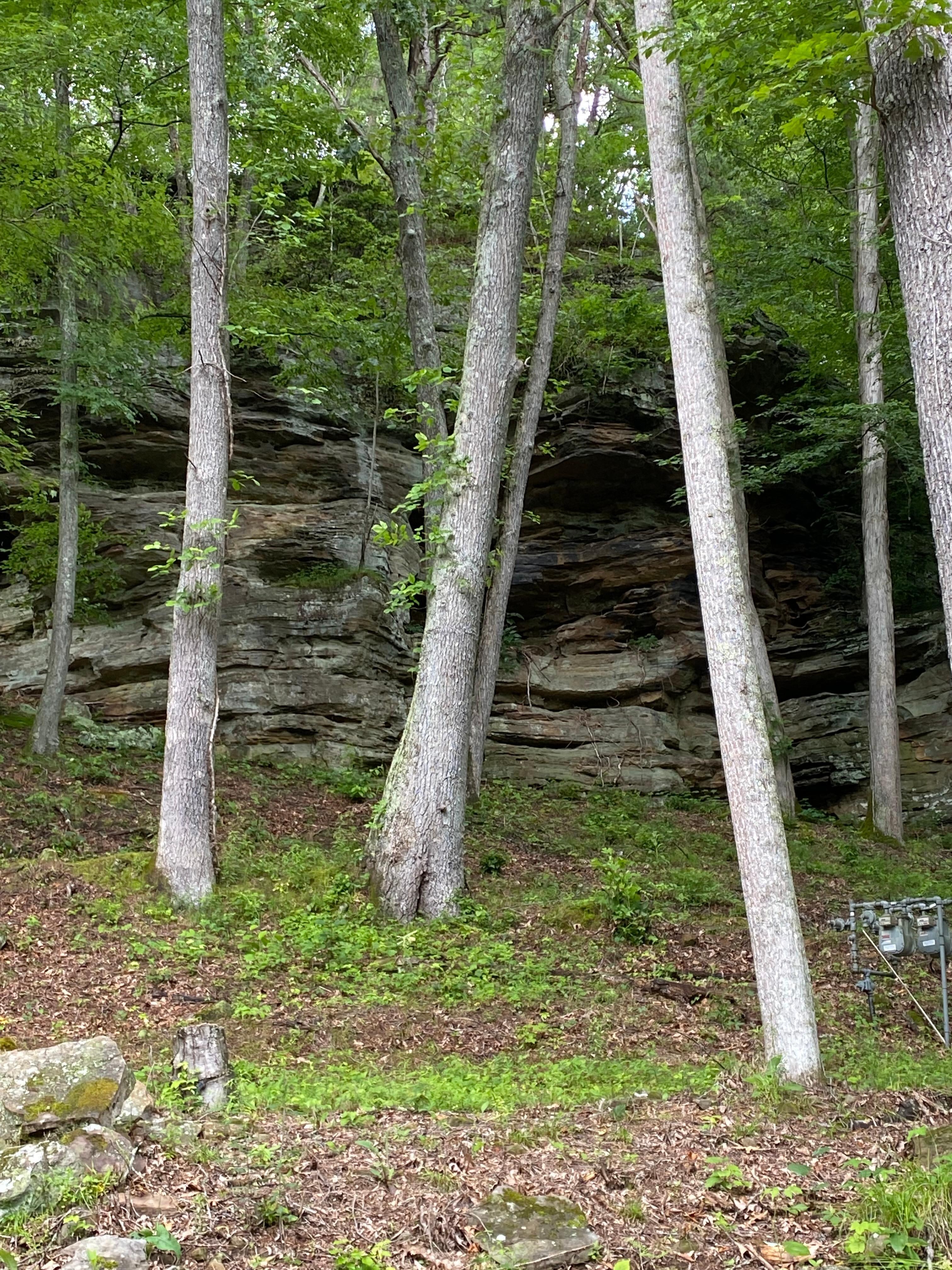 This might be the rock/cliff behind the house.