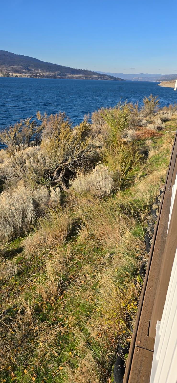 Photo from the back deck looking out over the river.