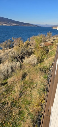 Photo from the back deck looking out over the river.