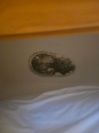 Black mold in 2nd floor King closet