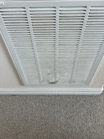 Air filters overflowing with dirt and hair