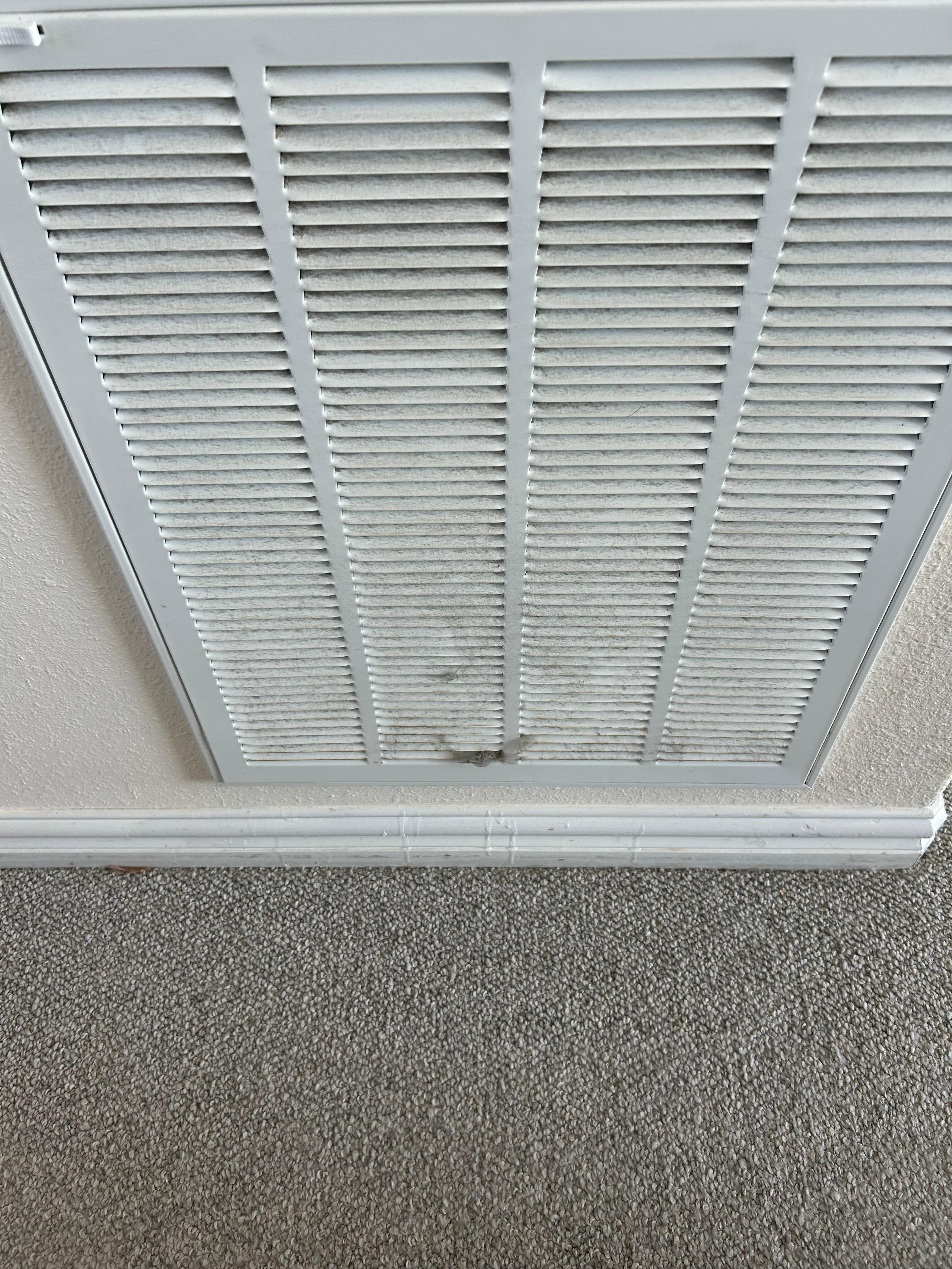 Air filters overflowing with dirt and hair