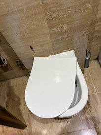 toilet seat slides off