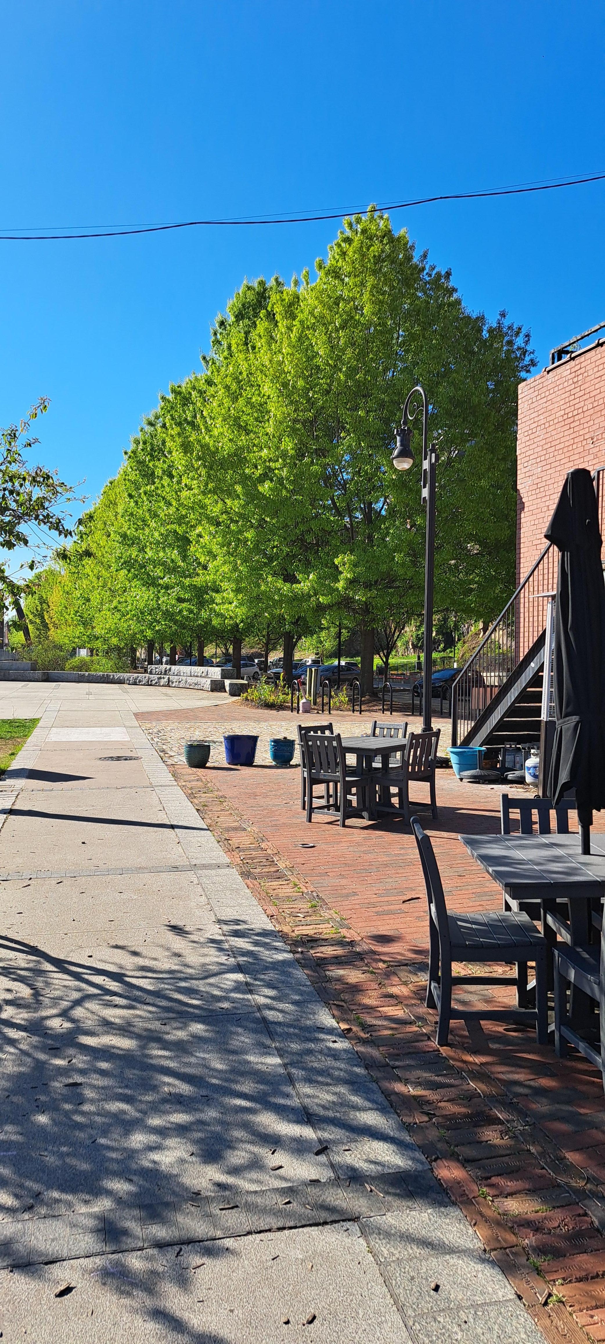 Walking around the neighborhood