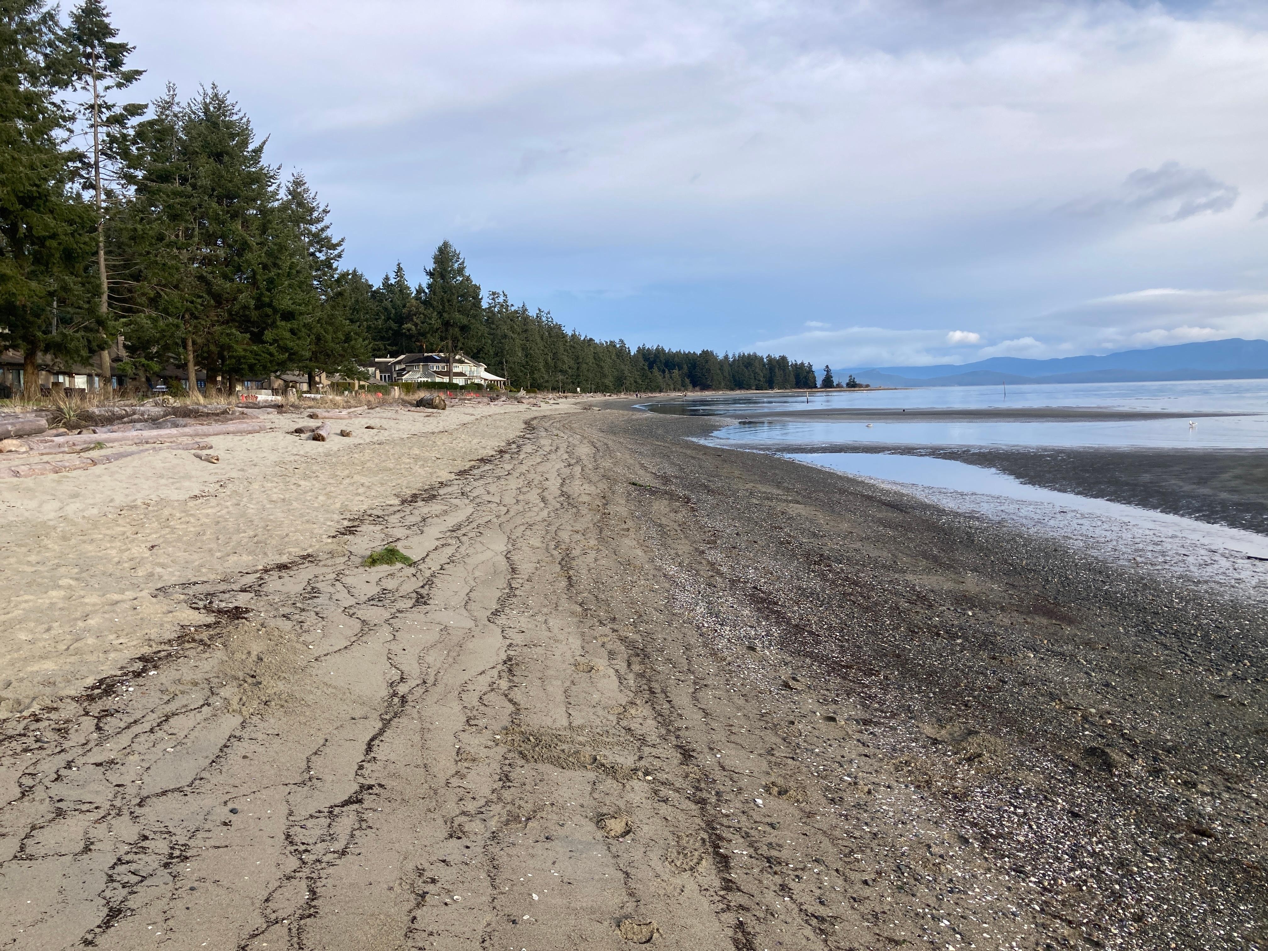 view from beach below resort looking north to Rathtrevor park
