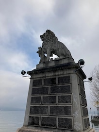 The lion