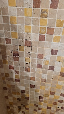 mold