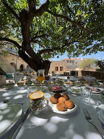 This tree is the best spot in Betlehem