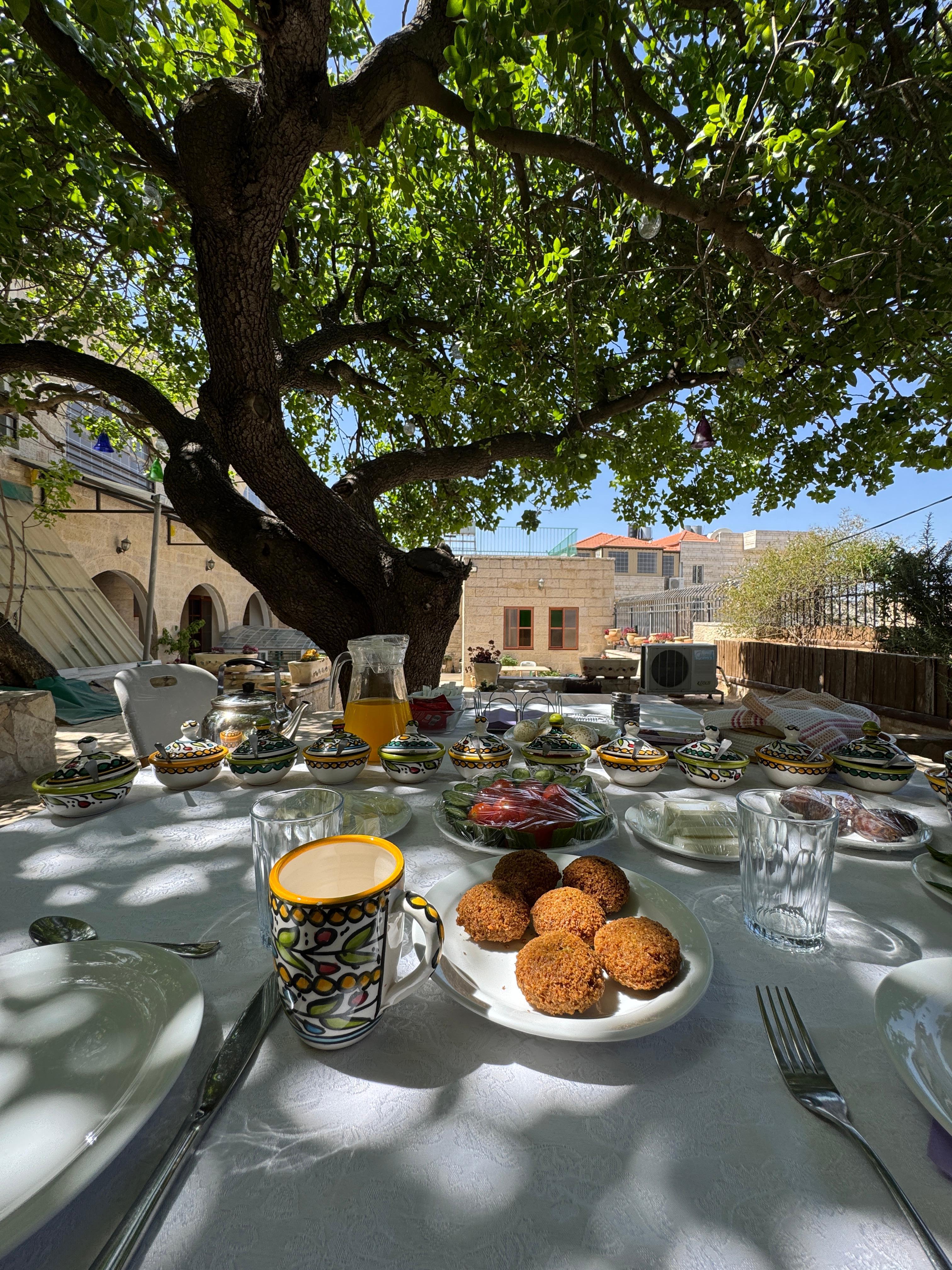 This tree is the best spot in Betlehem
