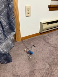 exposed wiring