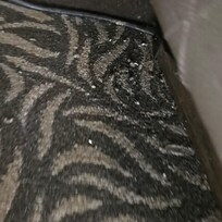 Dirty