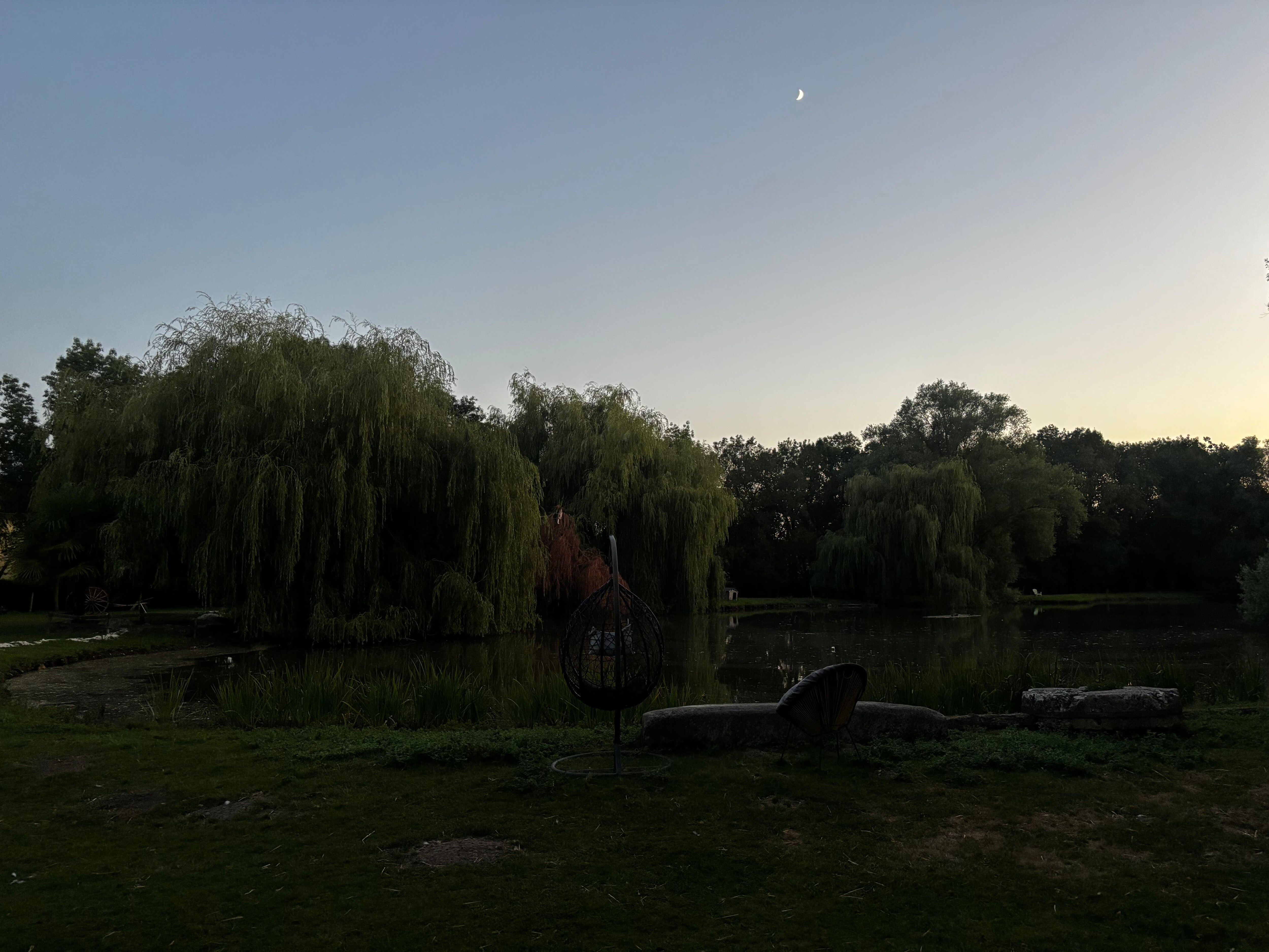 Le jardin 