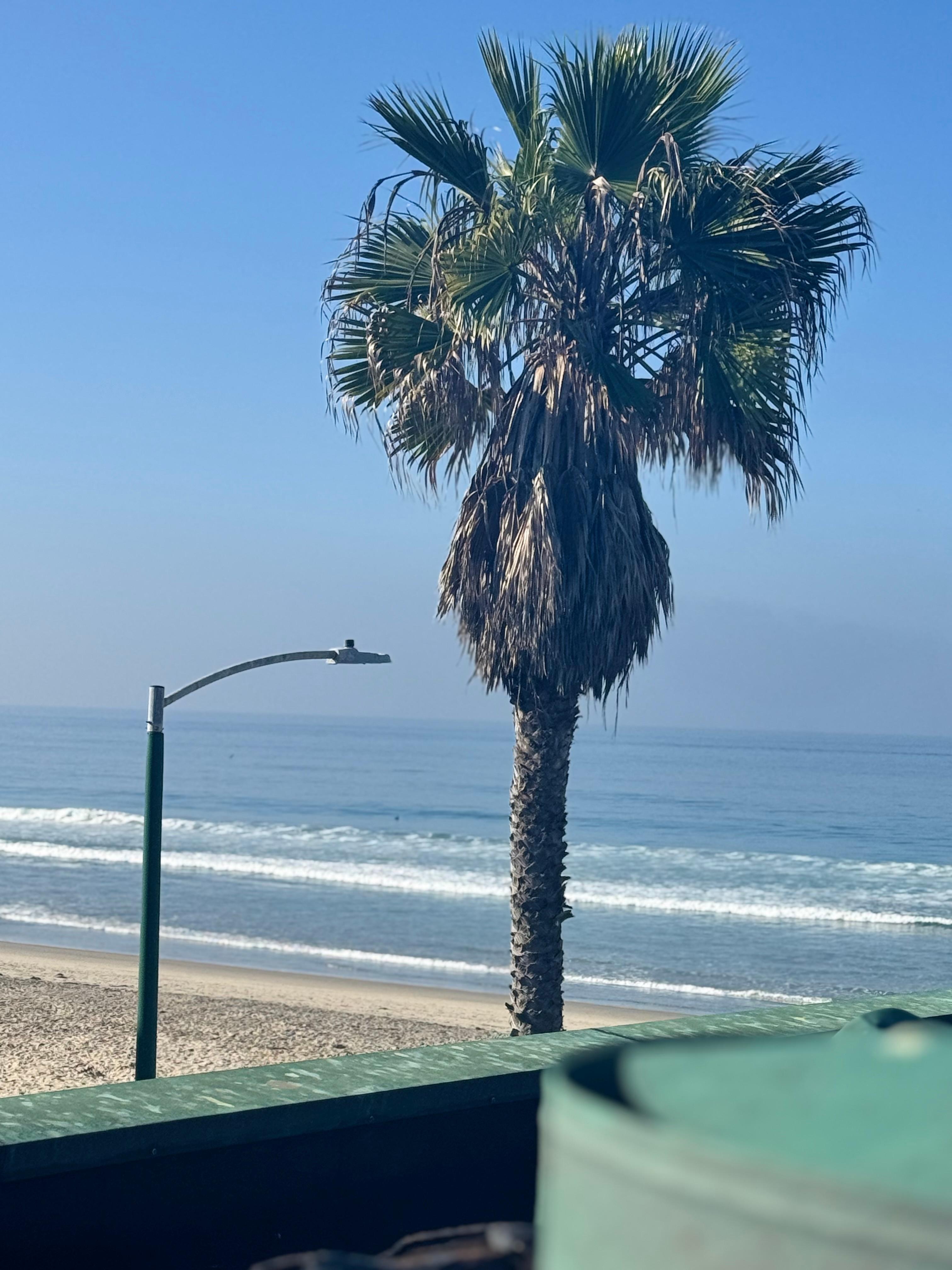 The view looking to the left from the rooftop patio