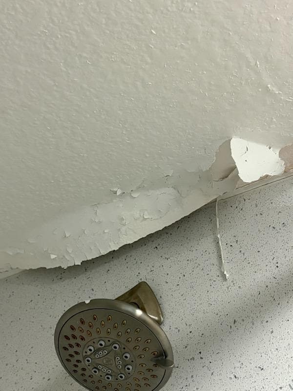 shower ceiling starting to fall 