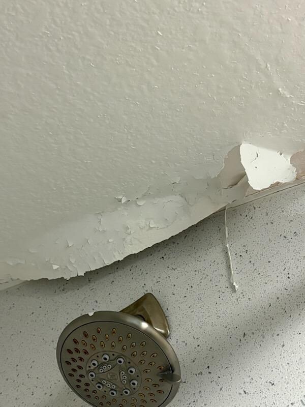 shower ceiling starting to fall 