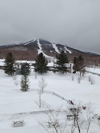Veiw from room