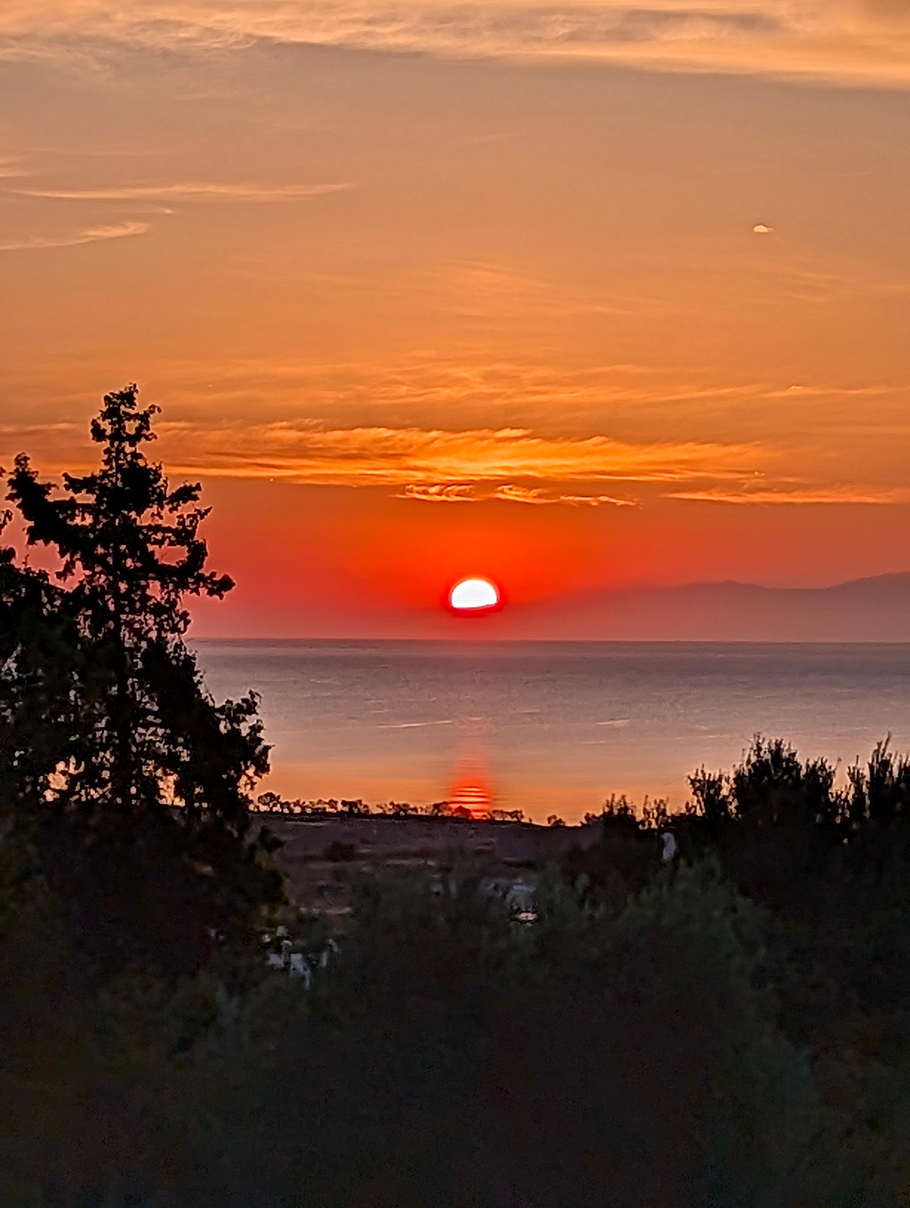 Sonnenaufgang aus dem Garten 
