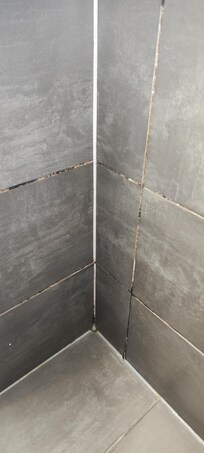 Schimmel in der Dusche