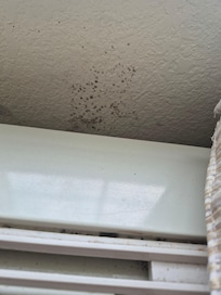 Mold behind AC vents
