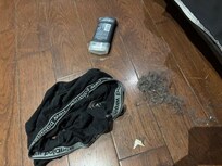 Found around the bed upon arrival! We had to do major cleaning of the apartment to be able to stay there.