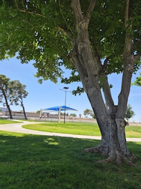 Shade and grass and lots of room.