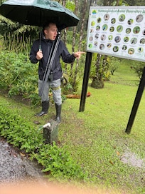 Complementary nature and property walk