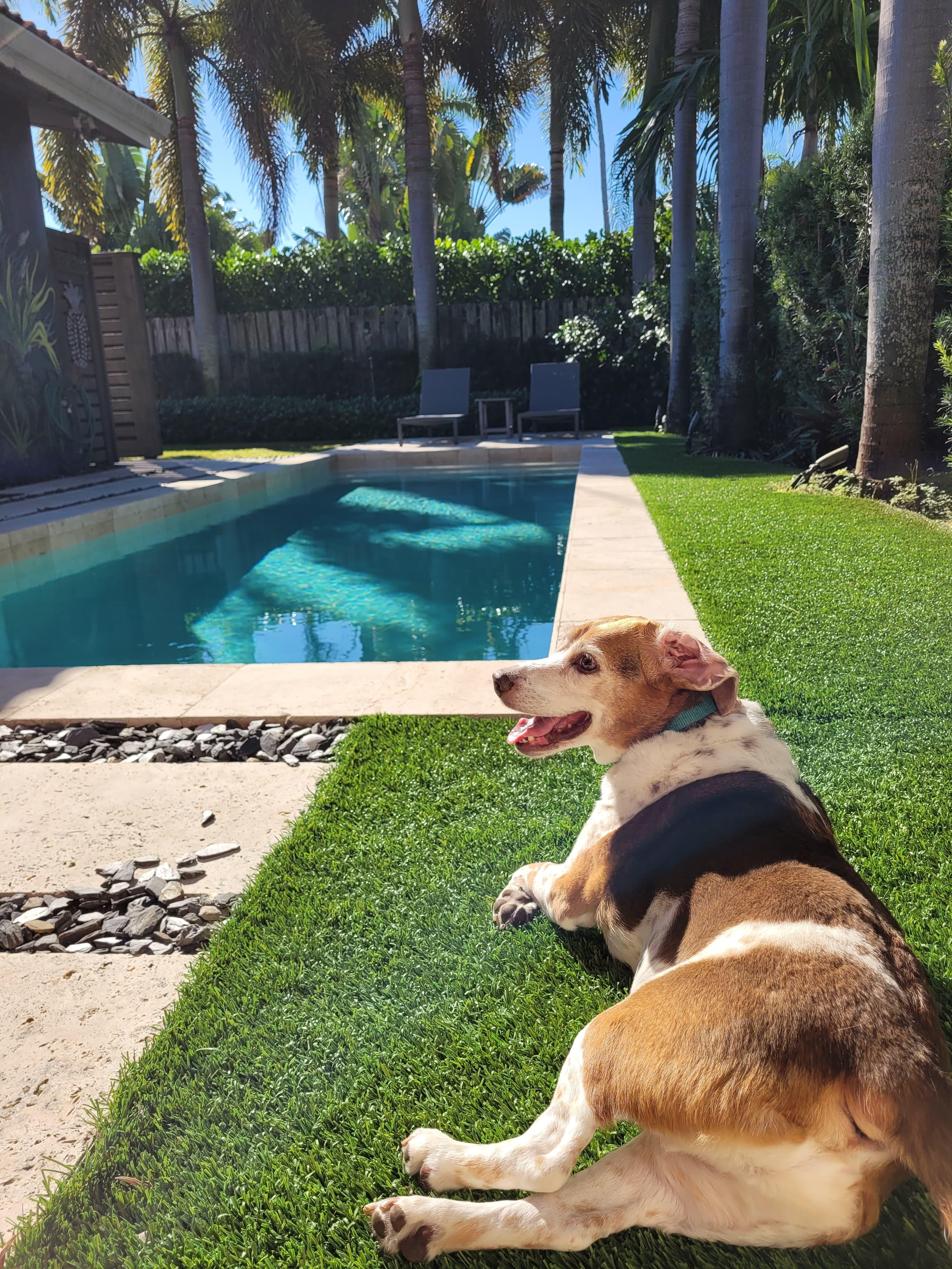 Relaxing by the pool was so enjoyable!