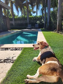 Relaxing by the pool was so enjoyable!