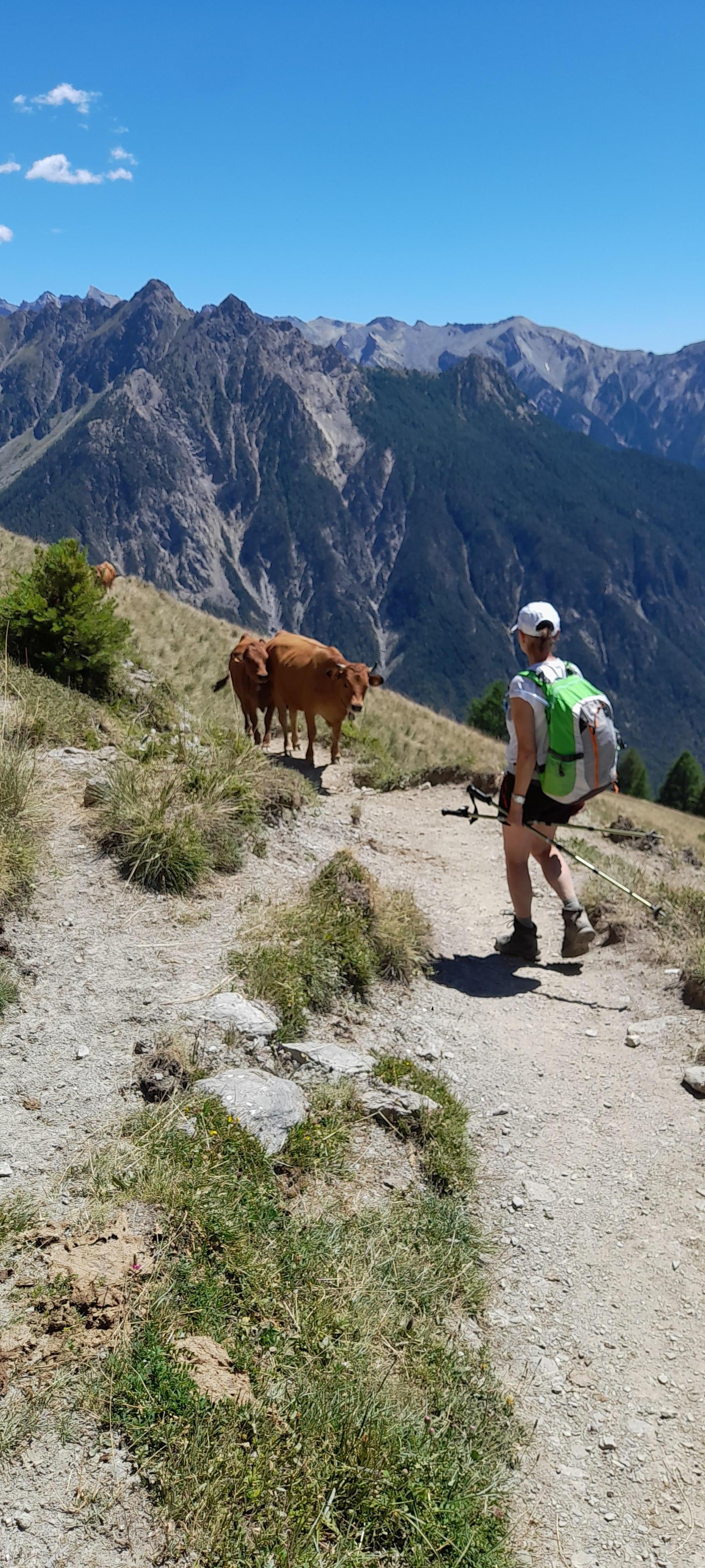 Belle rencontre au détour du chemin !