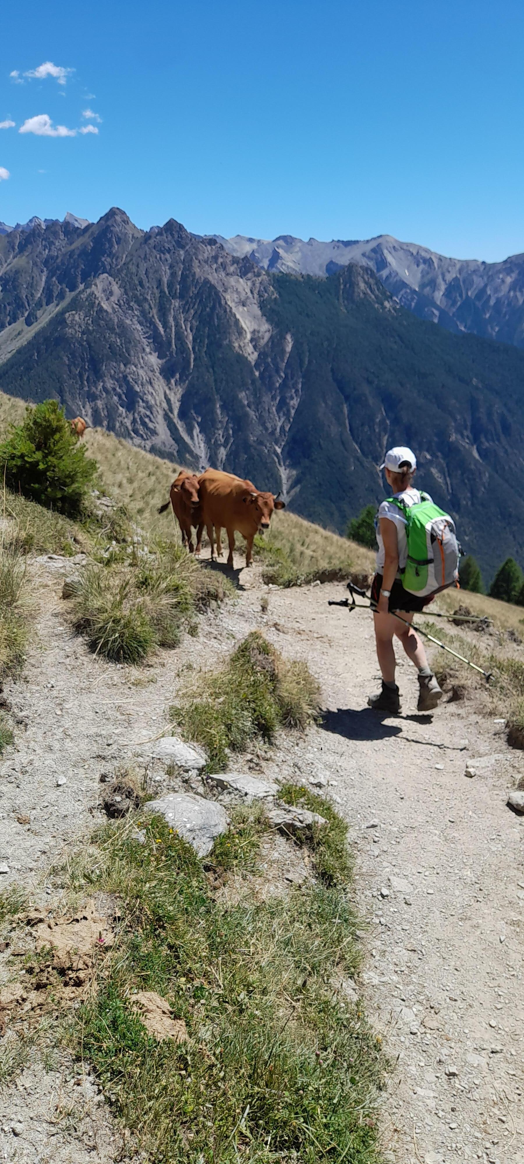 Belle rencontre au détour du chemin !