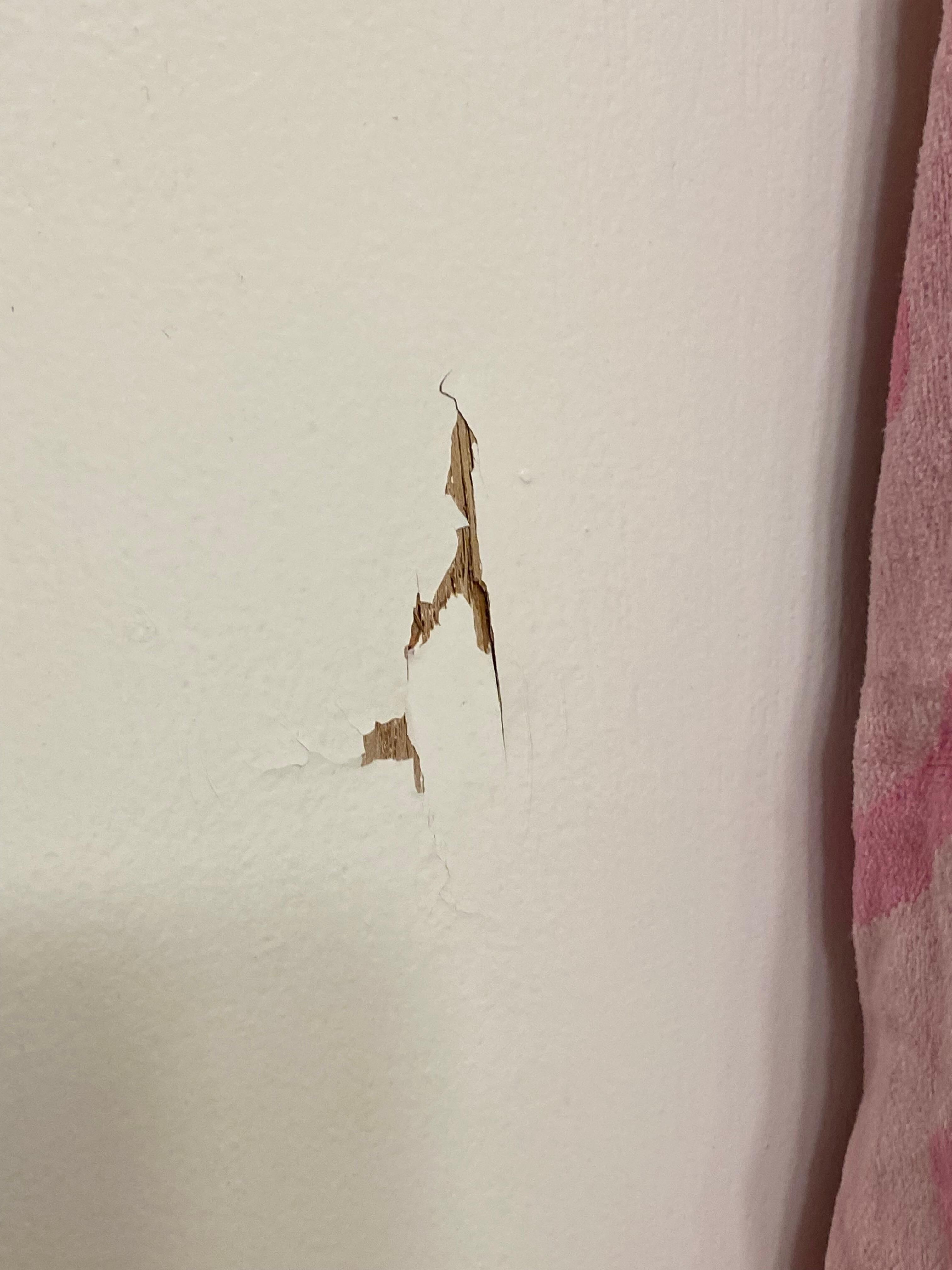 Bathroom door inside