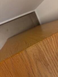 Ants in the room 111